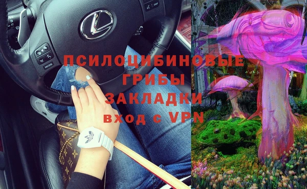 ALPHA-PVP Осинники