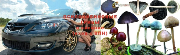 прущий лед Няндома