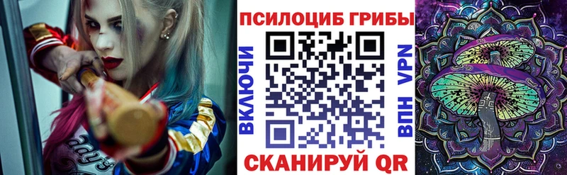 Галлюциногенные грибы прущие грибы  кракен как зайти  Мурино 