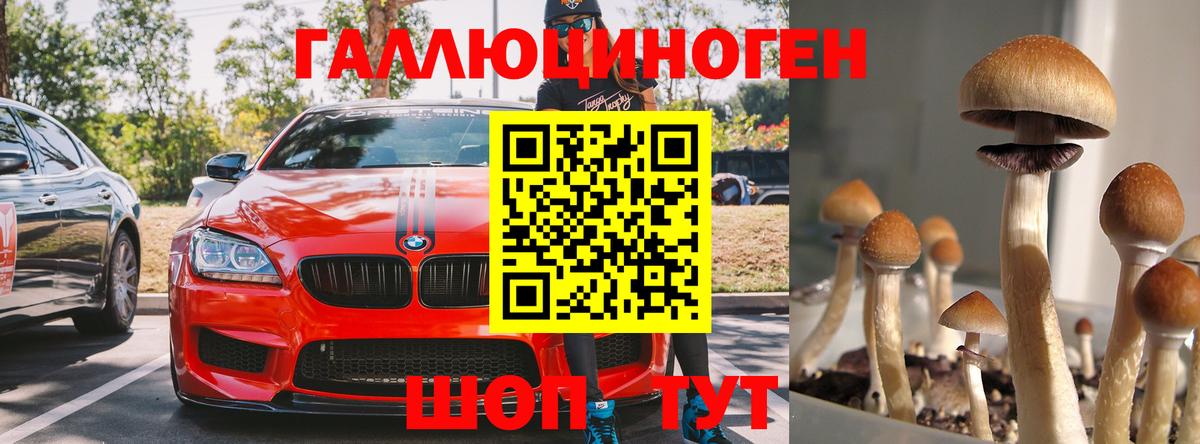 Мурино  Псилоцибиновые грибы GOLDEN TEACHER  закладки  Вход с VPN 